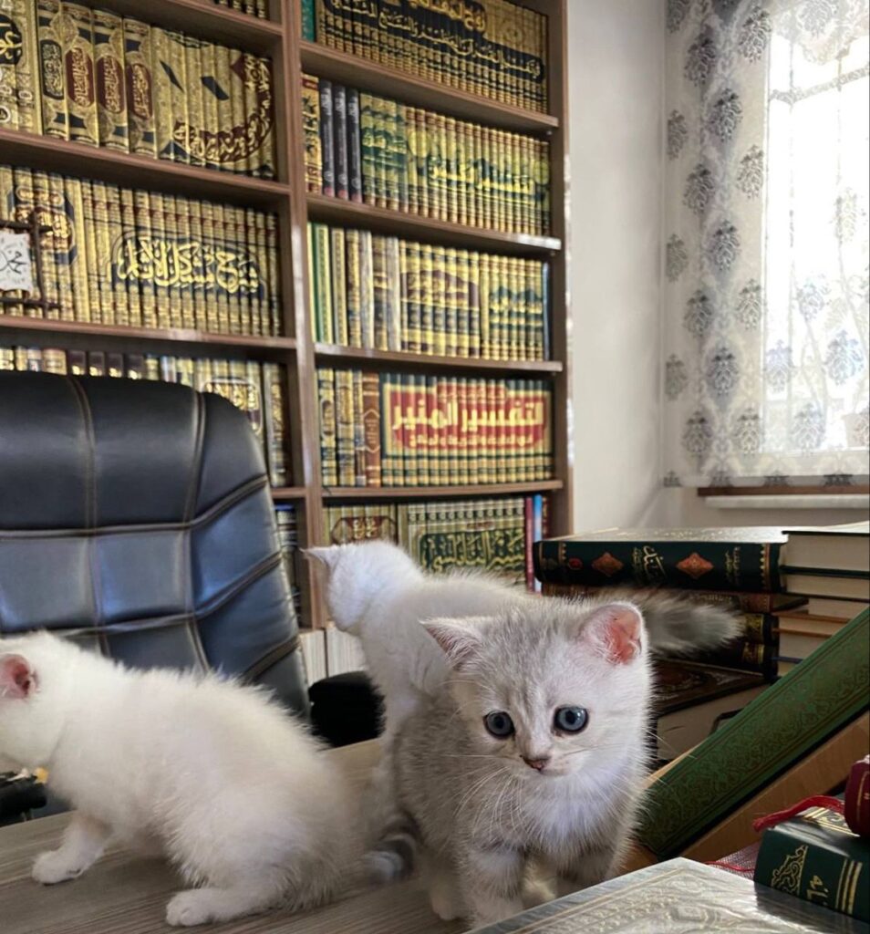 Safinah an-Najah (Kapal Keselamatan) aqidah2