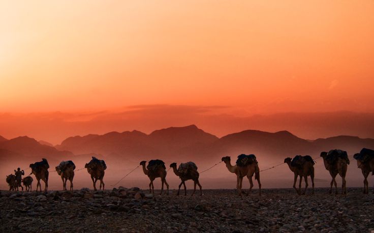 Ghuluw (Berlebih-lebihan) Bukan dari Islam ghuluw